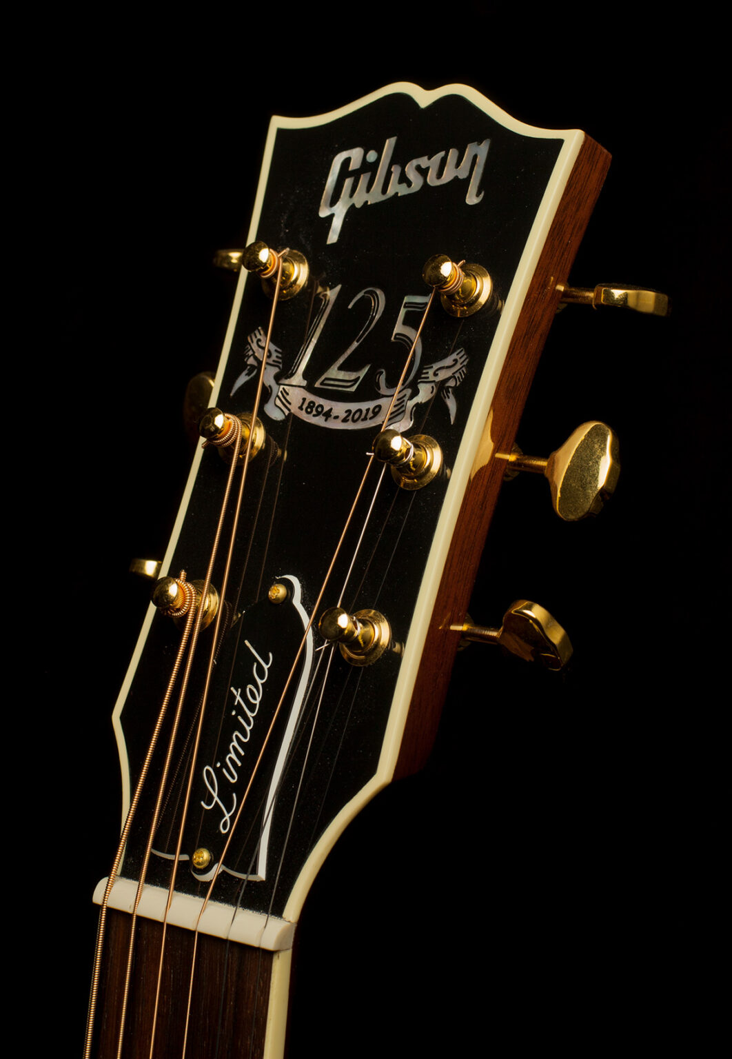 Gibson J-45 125th Anniversary Autumn Burst - Gitarren Total