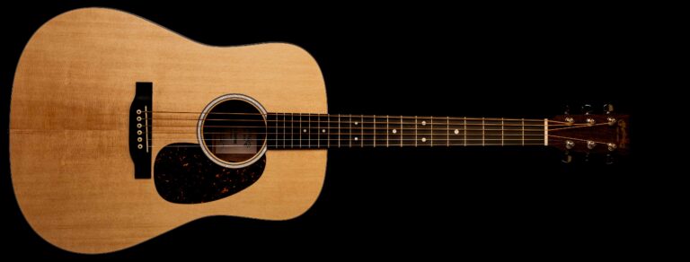 Martin D-10E Road Series